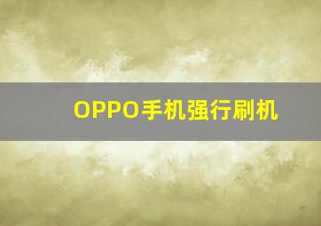 OPPO手机强行刷机