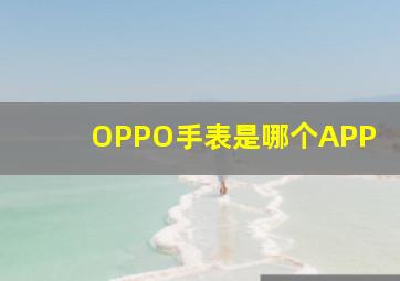 OPPO手表是哪个APP