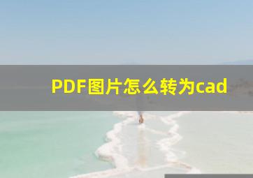 PDF图片怎么转为cad