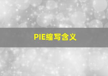 PIE缩写含义