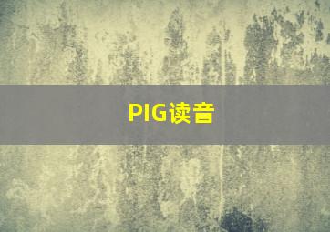 PIG读音