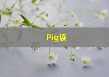 Pig读