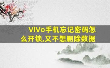 ViVo手机忘记密码怎么开锁,又不想删除数据