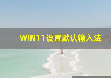 WIN11设置默认输入法