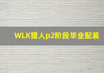 WLK猎人p2阶段毕业配装