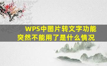 WPS中图片转文字功能突然不能用了是什么情况