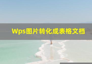 Wps图片转化成表格文档