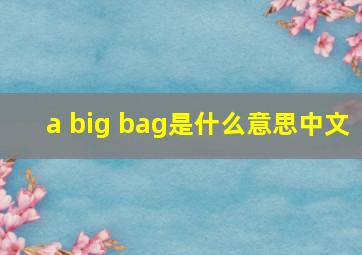 a big bag是什么意思中文