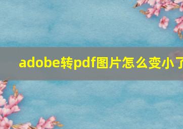 adobe转pdf图片怎么变小了