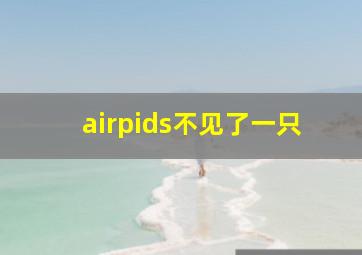 airpids不见了一只