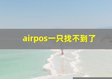 airpos一只找不到了