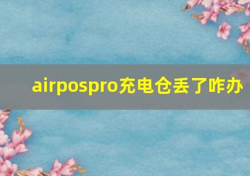 airpospro充电仓丢了咋办