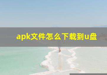 apk文件怎么下载到u盘