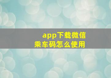 app下载微信乘车码怎么使用