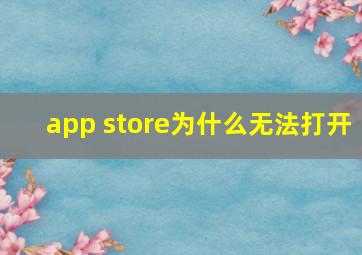 app store为什么无法打开