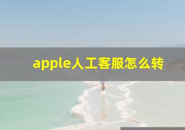 apple人工客服怎么转