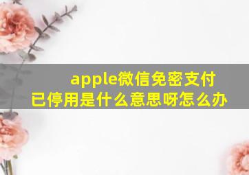 apple微信免密支付已停用是什么意思呀怎么办