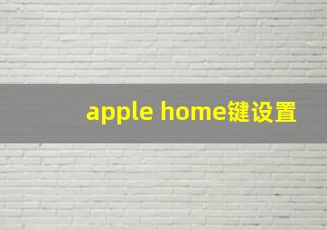 apple home键设置