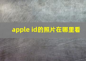 apple id的照片在哪里看