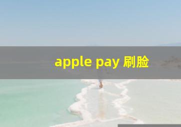 apple pay 刷脸