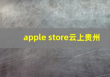 apple store云上贵州