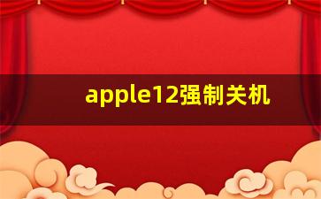 apple12强制关机