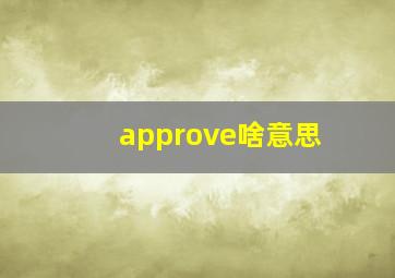 approve啥意思