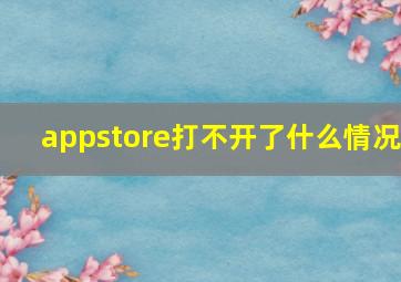 appstore打不开了什么情况