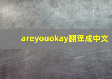 areyouokay翻译成中文