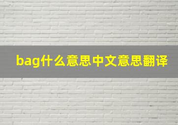 bag什么意思中文意思翻译