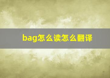 bag怎么读怎么翻译