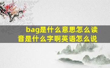 bag是什么意思怎么读音是什么字啊英语怎么说