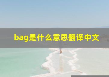 bag是什么意思翻译中文