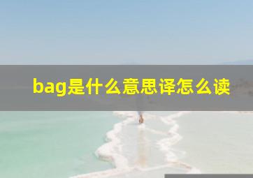 bag是什么意思译怎么读