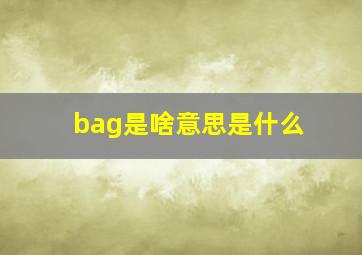 bag是啥意思是什么