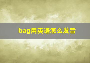 bag用英语怎么发音