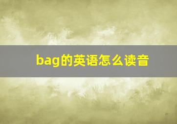 bag的英语怎么读音