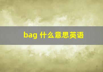 bag 什么意思英语