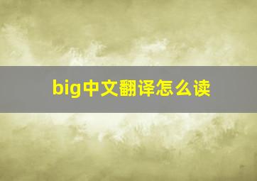 big中文翻译怎么读