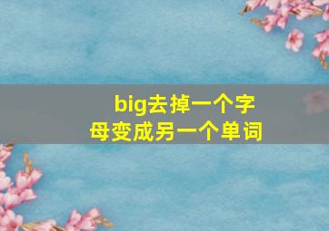 big去掉一个字母变成另一个单词