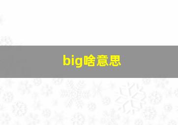 big啥意思