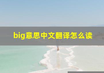 big意思中文翻译怎么读