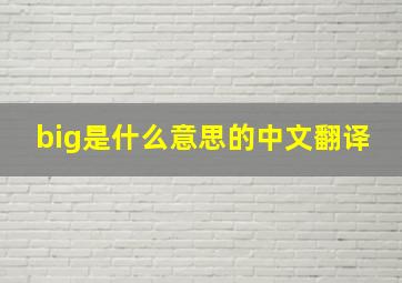 big是什么意思的中文翻译