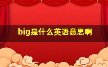 big是什么英语意思啊