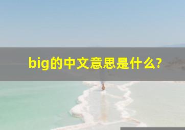 big的中文意思是什么?