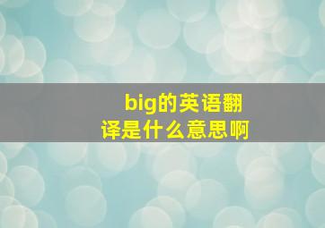 big的英语翻译是什么意思啊