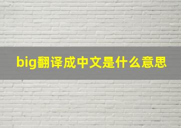 big翻译成中文是什么意思