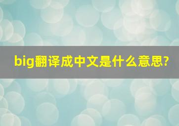 big翻译成中文是什么意思?