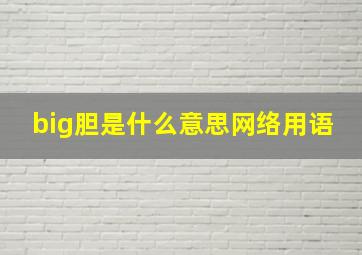 big胆是什么意思网络用语