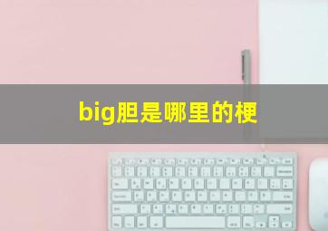 big胆是哪里的梗